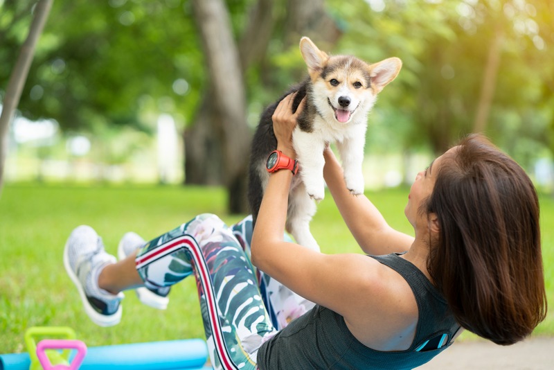 5 Ideas for Fitness Fun with Your Furry Friend